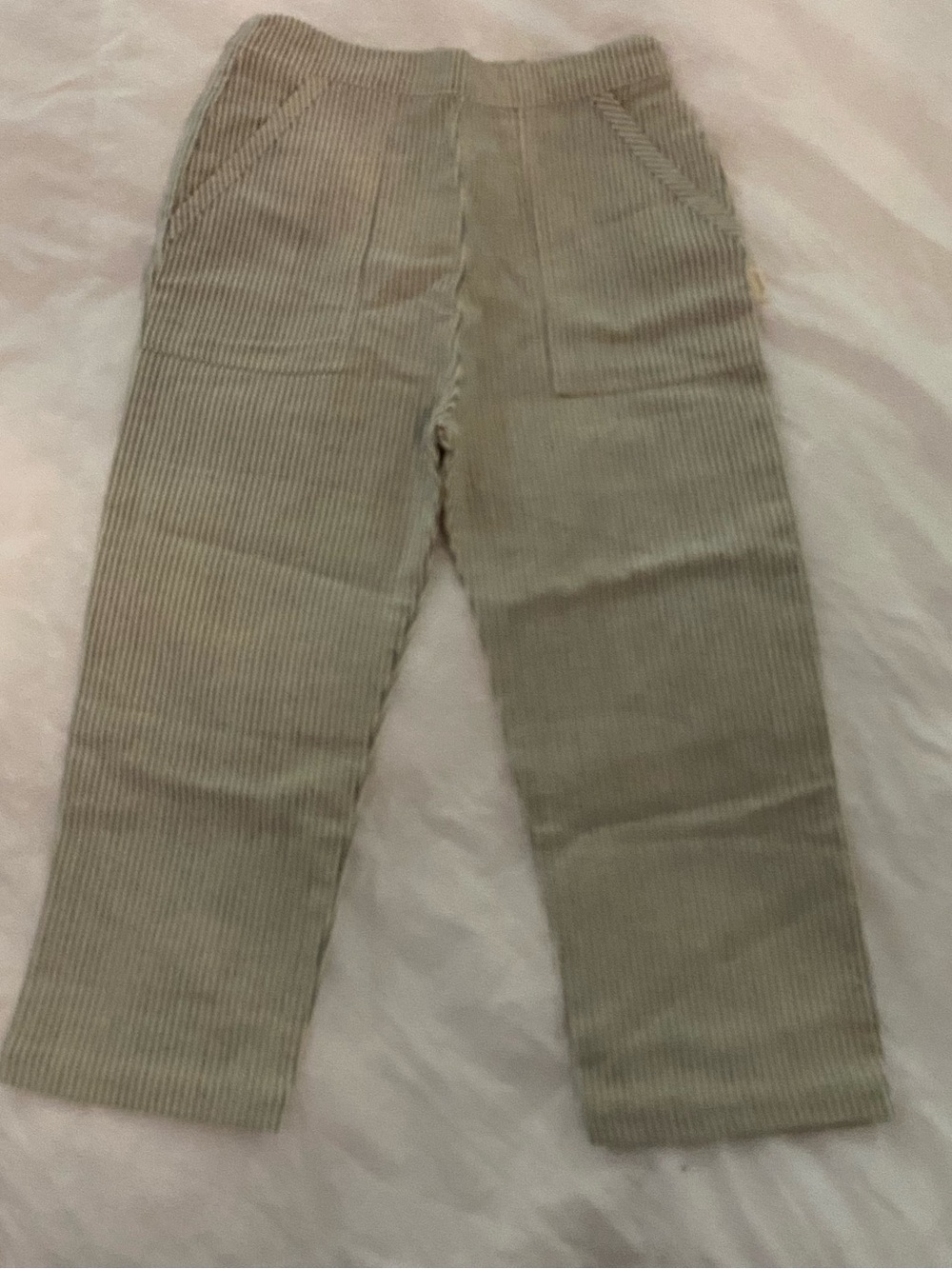 Pehr Railroad Side Pocket Pants 4T